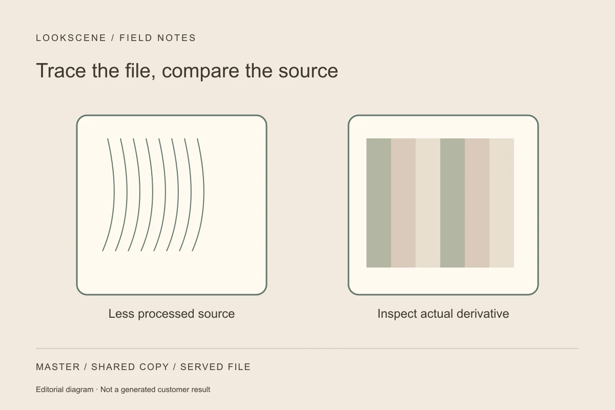 Illustration for A Headshot Looks Blocky After Sharing: Compare the JPEG With the Original